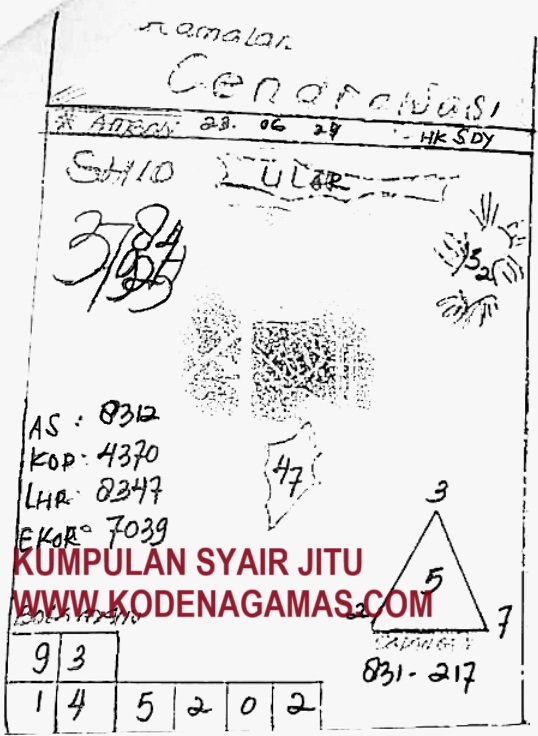 SYAIR SGP VIP